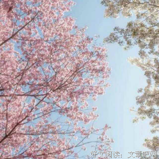 《世界第一初恋：求婚篇》经典影评集