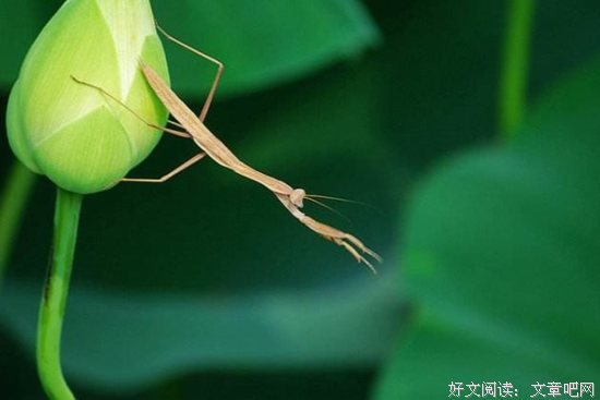 “别想那么多”， 这句话真的很没用
