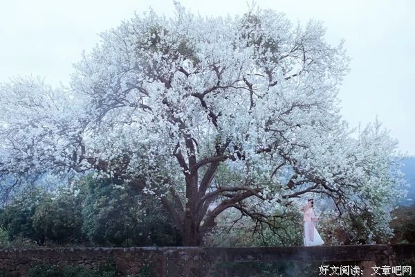 尺度（深度好文）