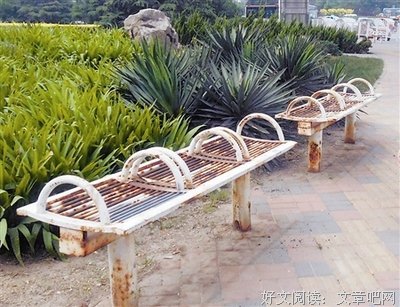 路从今夜白读后感100字