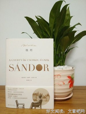 《中国文学课》读后感1000字