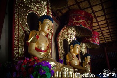 大清相国读后感锦集