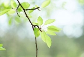 《爱自己，和谁结婚都一样》读后感摘抄