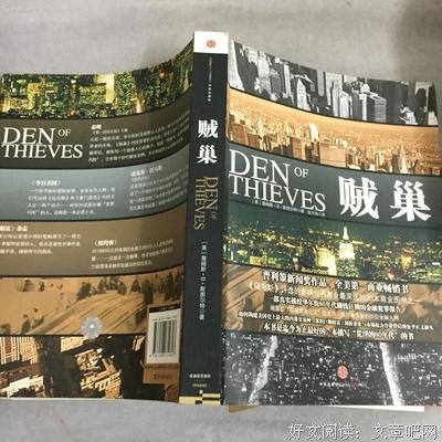 贼巢读后感摘抄
