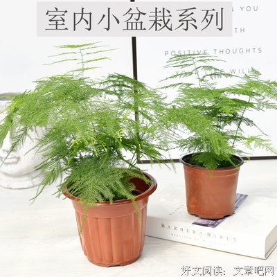 小幸福的句子