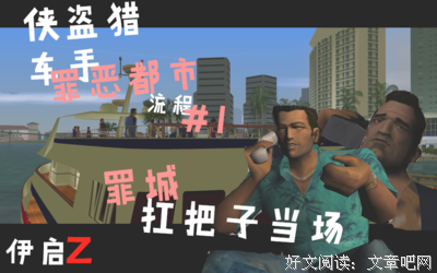 《侠盗》观后感100字