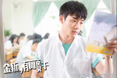 《金斩，有何贵干？》观后感100字