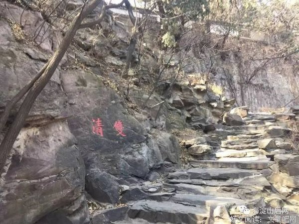 《东邻西舍 第二季》经典观后感1000字