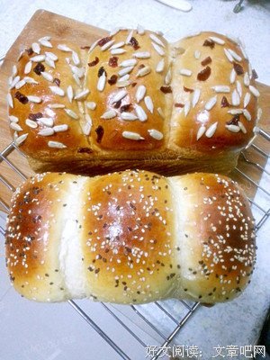 《红色土司》经典观后感有感
