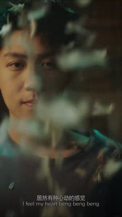 《小哥哥怕是有毒吧》影评100字