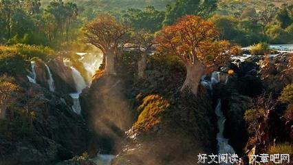 关于郁郁寡欢的格言