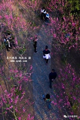 春风得意的句子