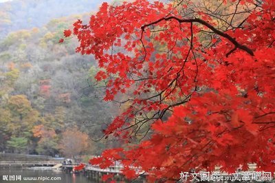 15条关于起起伏伏的经典语句