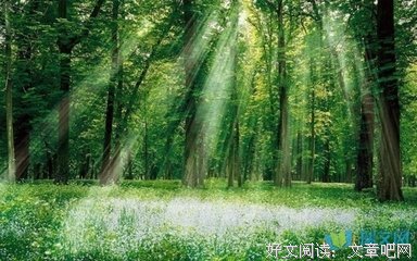 描写人山人海的语句摘抄