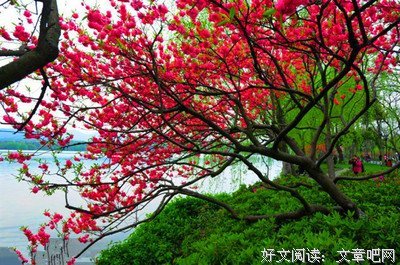 有关风雨飘摇的美文美句摘抄