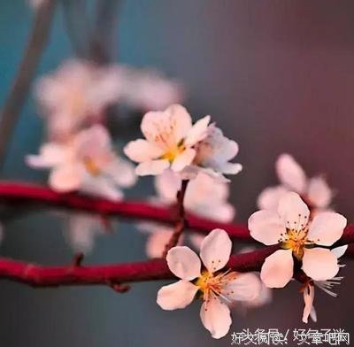 无以复加的语句摘抄_关于无以复加的语句