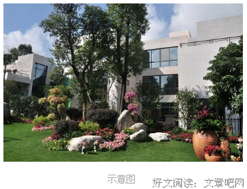 《独赏晚霞》的句子