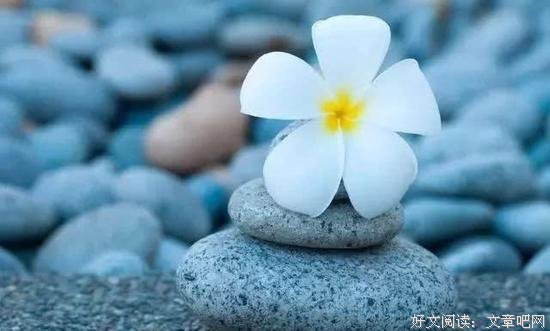 你的碗里，藏着你一生的福气