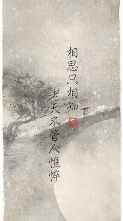好美的句子