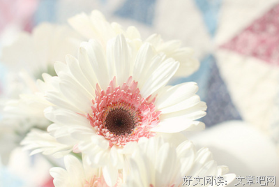 情感优美的句子