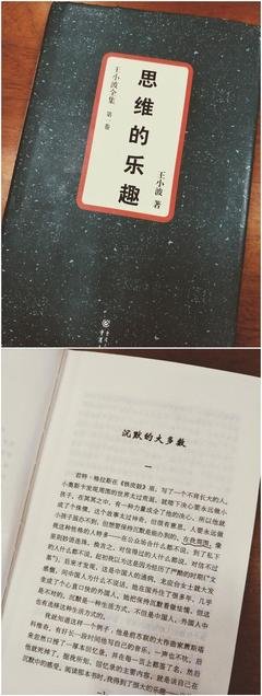 《思维的乐趣》读后感摘抄