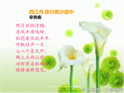 《明而了子气你枝惊鹊》经典语录