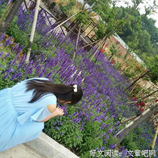 有我，你别怕读后感精选