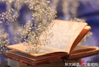 《新编应用写作》经典读后感有感