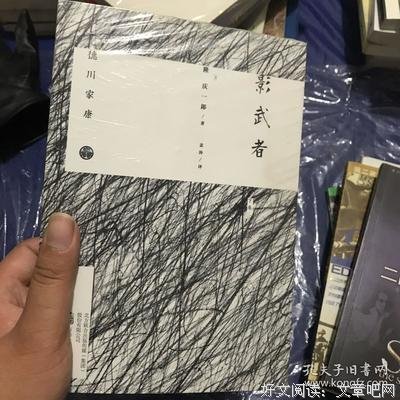 《影武者（上卷）》读后感1000字