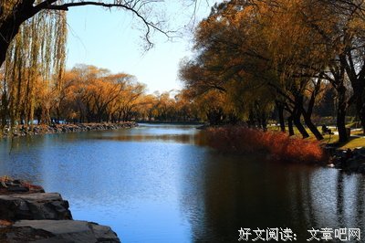 有关偶得的句子