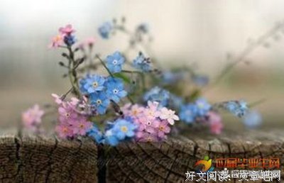 描写一声不吭的语句摘抄