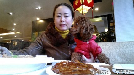 关于真真假假的名言