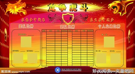 《龙争虎斗》读后感精选