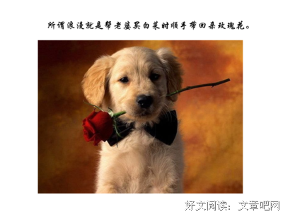 老女人们还要什么人生答案？瞎过瞎开心