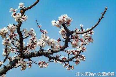 心上对逆旅，华胥为引名句欣赏