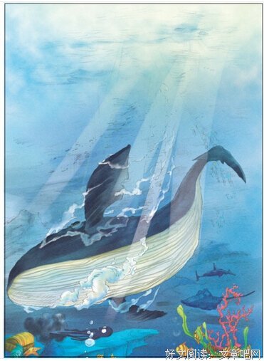 美文插画经典的句子