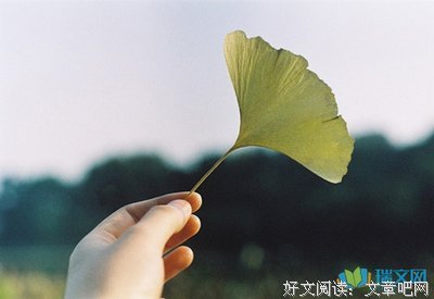 《花之屋 第二季》影评摘抄
