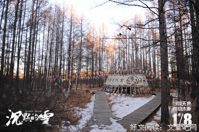 《沉默的雪》的影评大全