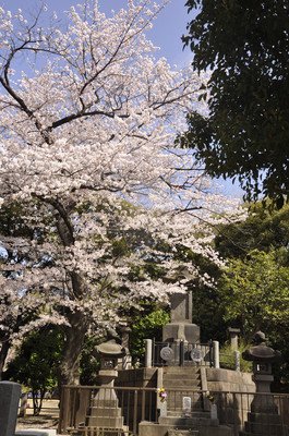 《孤独的美食家除夕SP：京都・名古屋出差篇》观后感摘抄