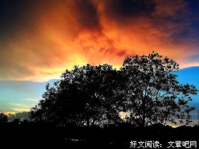 映入眼帘的名言_关于映入眼帘的名言