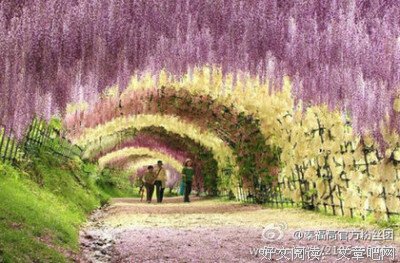关于一贫如洗的唯美语录