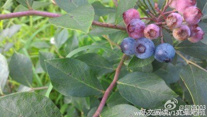 八月再见，九月你好！