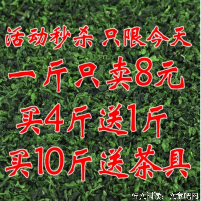 小邵一茶经典的句子