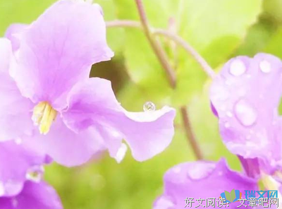 感触句优美的句子