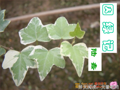 关于烽火的优美句子
