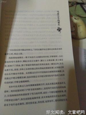 万物既伟大又渺小读后感锦集