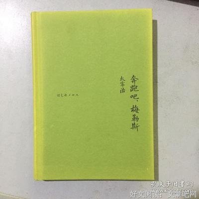 《奔跑吧！梅勒斯》经典读后感有感