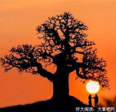 情到深处是文言名句欣赏
