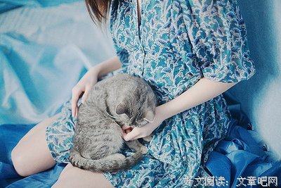 优语录