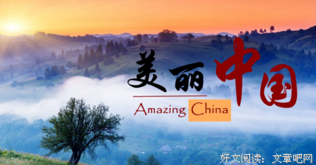 《我独自李食堂》的观后感大全